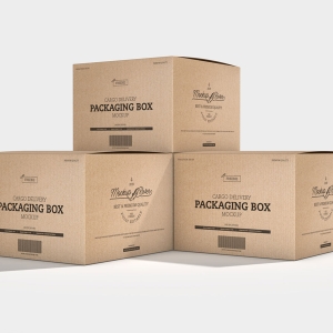 THÙNG CARTON THEO YÊU CẦU