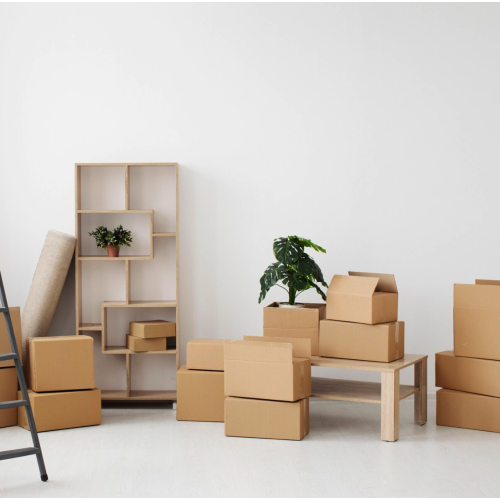 Giới Thiệu Công Ty Bao Bì Carton